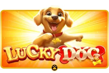 Meja blackjack live dengan dealer profesional